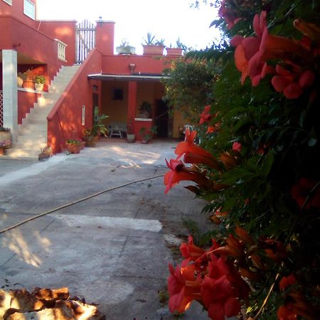 Casa Te La Bradamante Bed & Breakfast Magliano Exterior photo