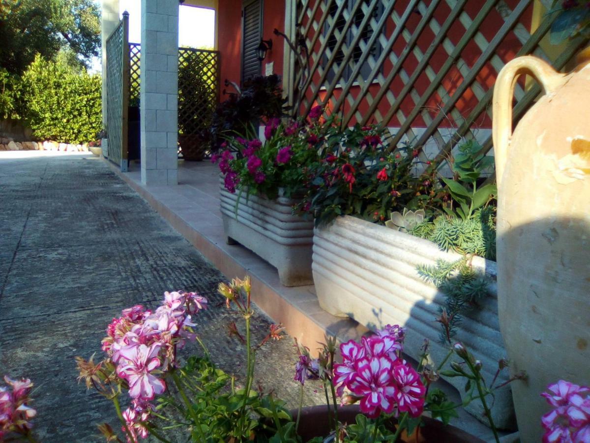 Casa Te La Bradamante Bed & Breakfast Magliano Exterior photo