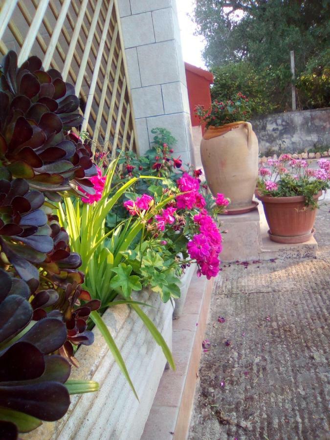 Casa Te La Bradamante Bed & Breakfast Magliano Exterior photo