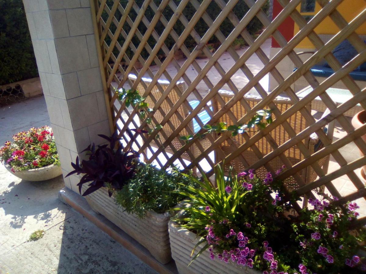 Casa Te La Bradamante Bed & Breakfast Magliano Exterior photo