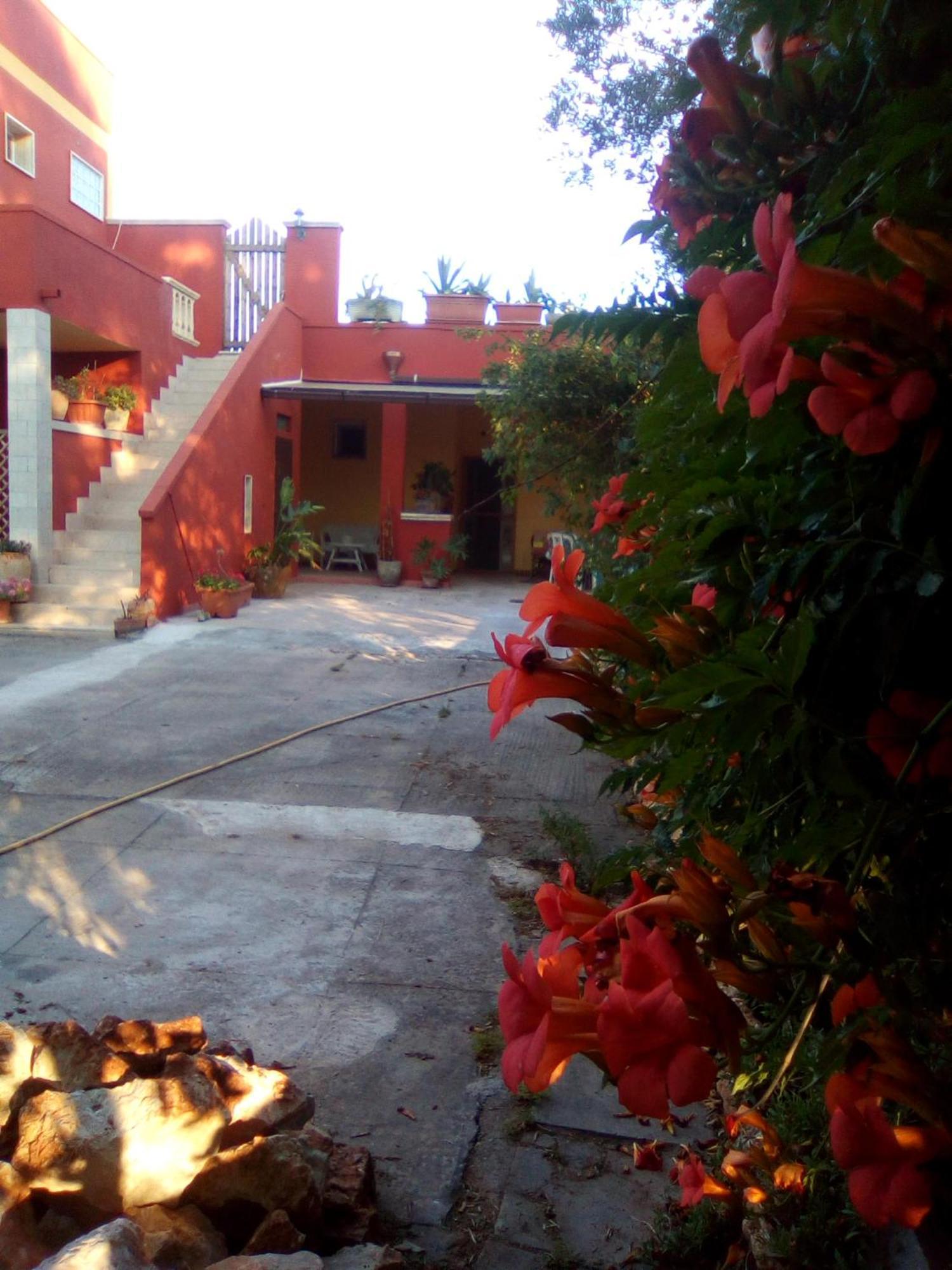 Casa Te La Bradamante Bed & Breakfast Magliano Exterior photo