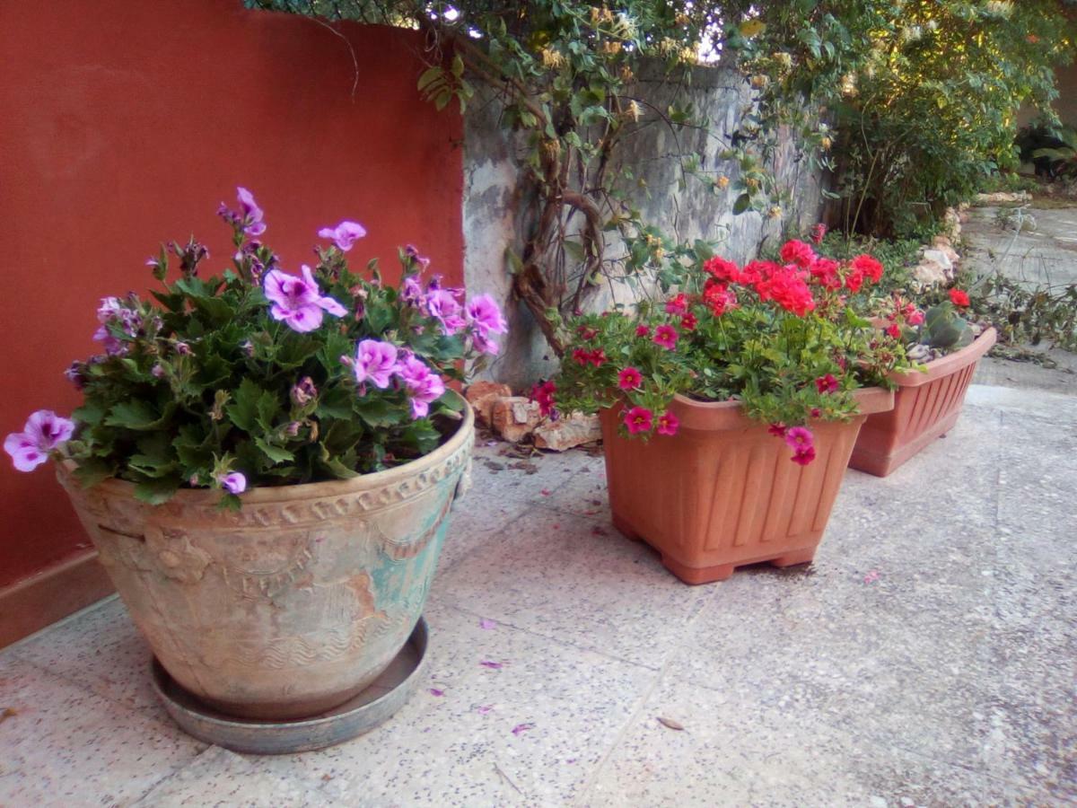 Casa Te La Bradamante Bed & Breakfast Magliano Exterior photo